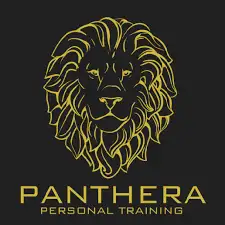 logo panthera case